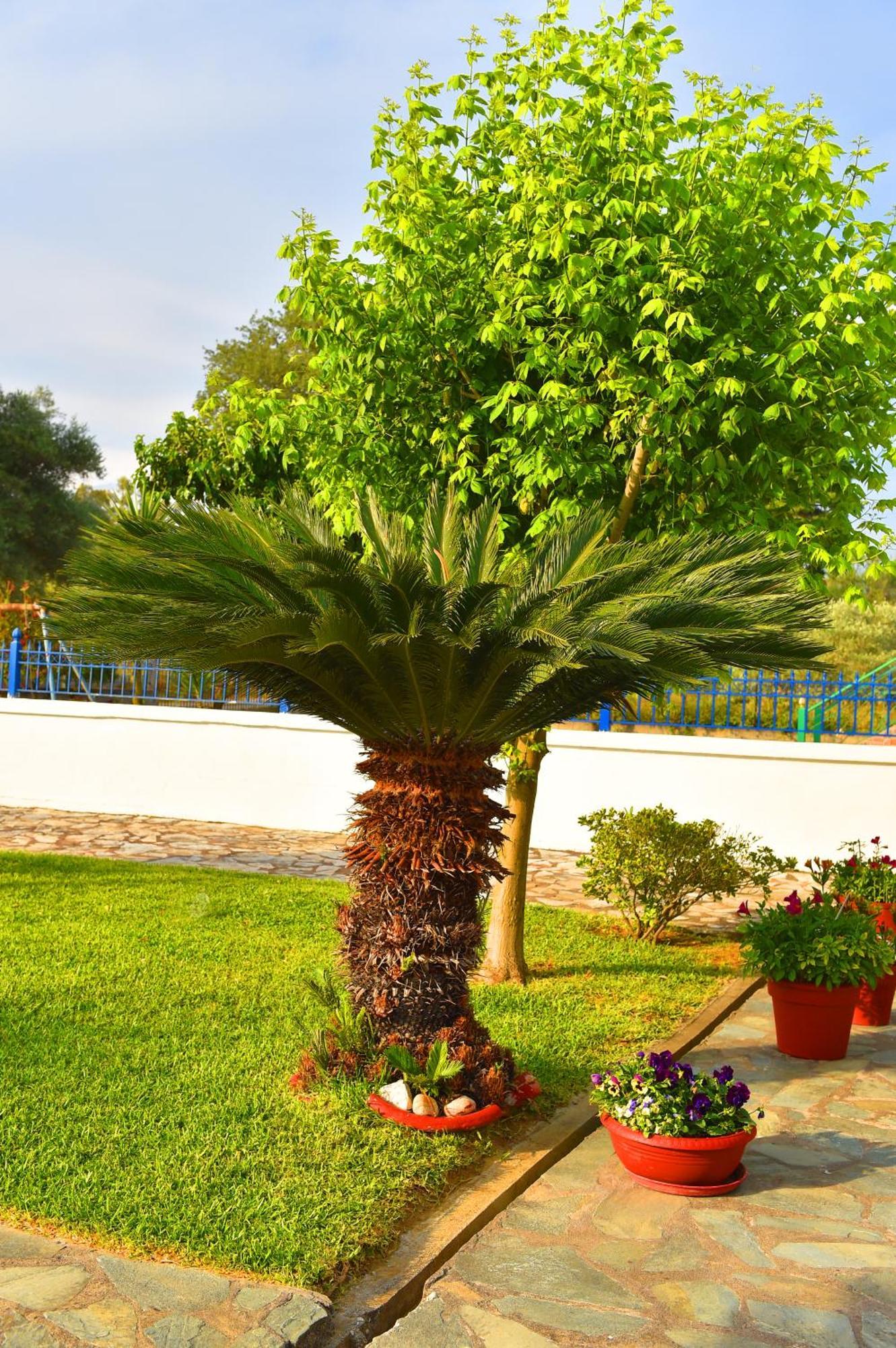 Villa Elpida Kanali  Bagian luar foto