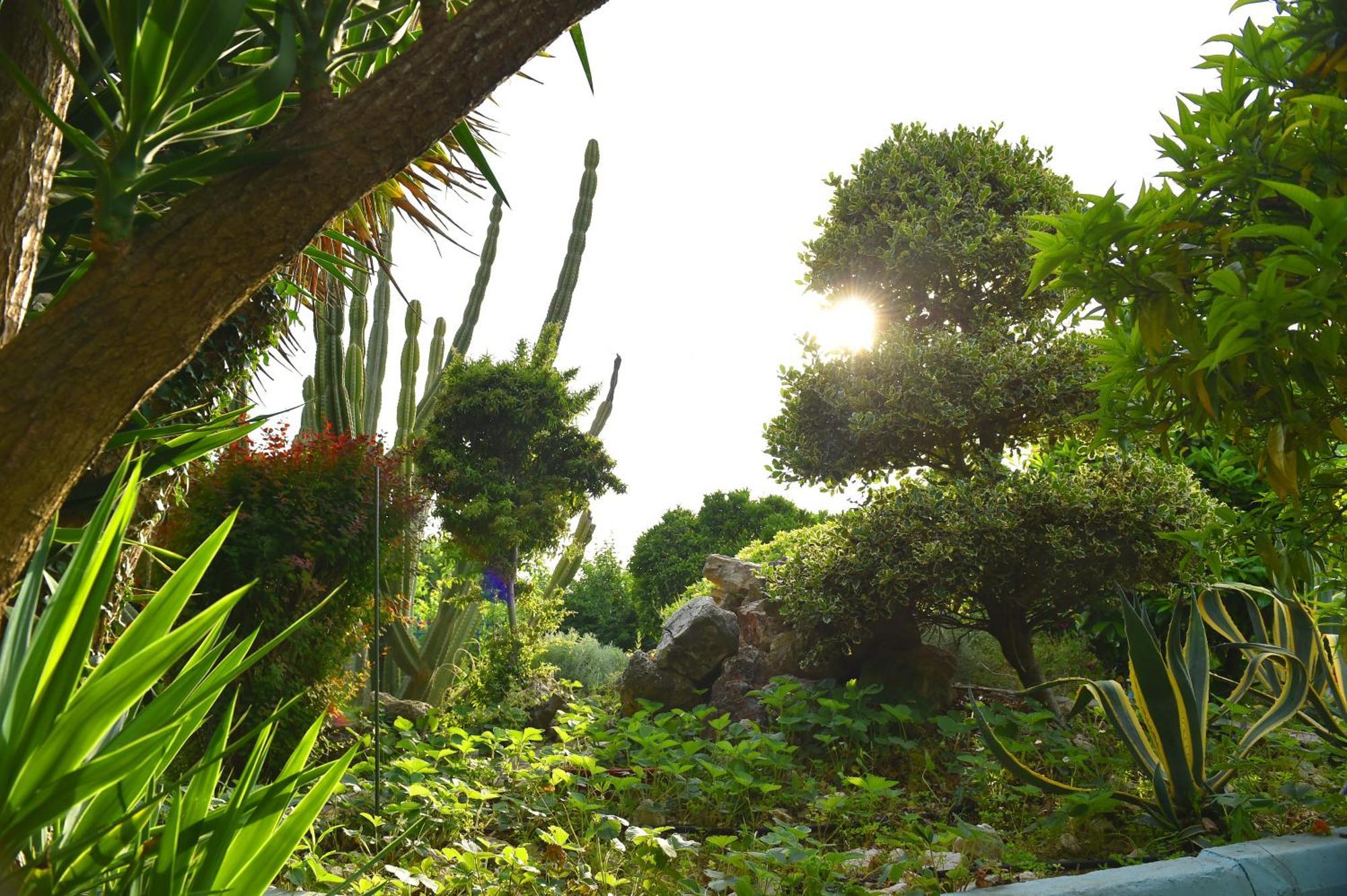 Villa Elpida Kanali  Bagian luar foto
