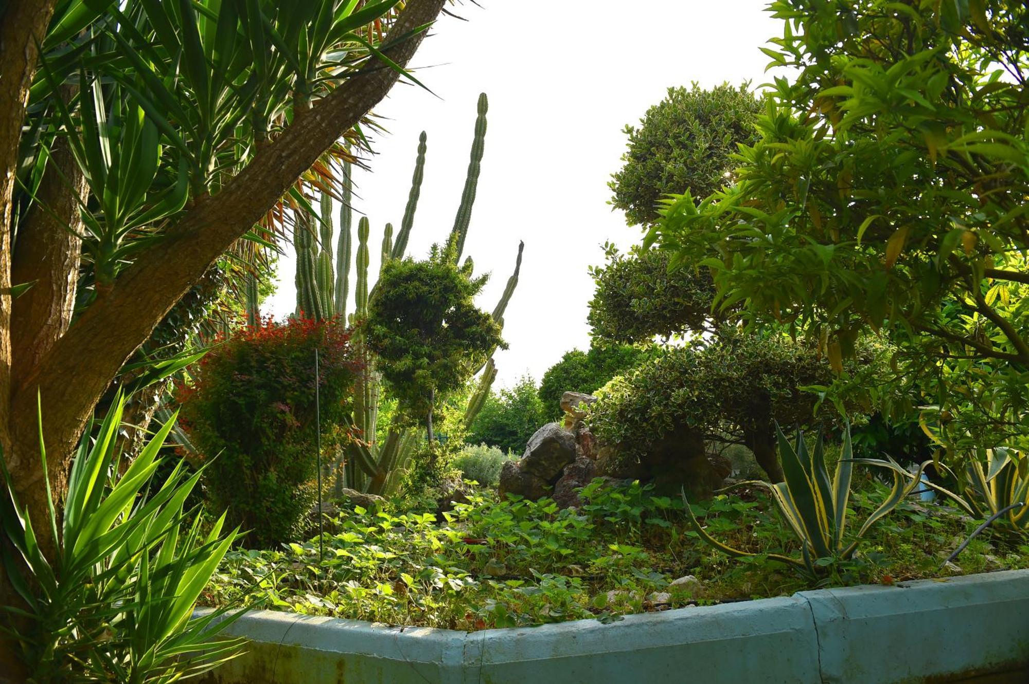 Villa Elpida Kanali  Bagian luar foto