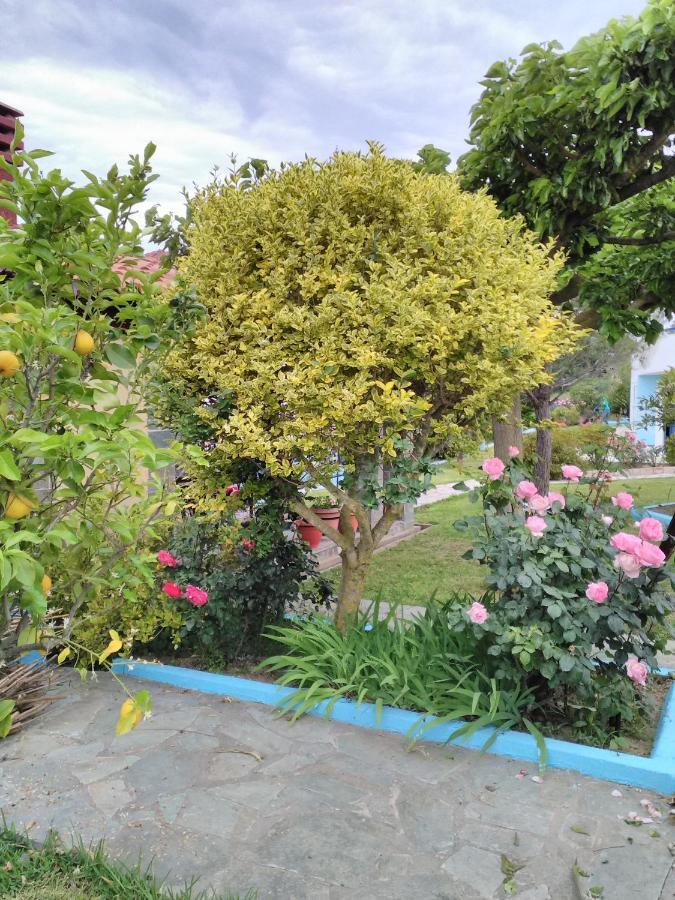 Villa Elpida Kanali  Bagian luar foto